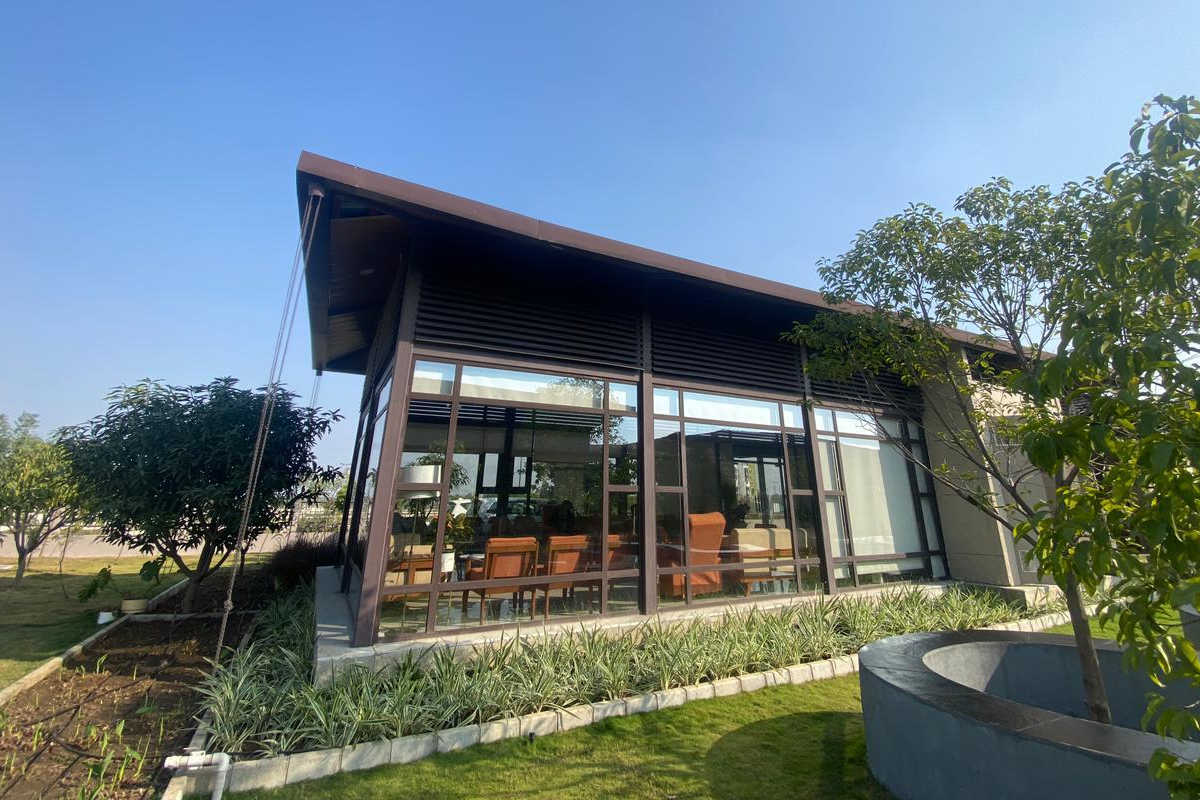 DJ/Live Band & Artists